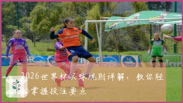 2026世界杯买球规则详解，教你轻松掌握投注要点