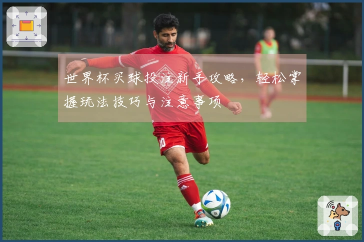 世界杯买球投注新手攻略，轻松掌握玩法技巧与注意事项