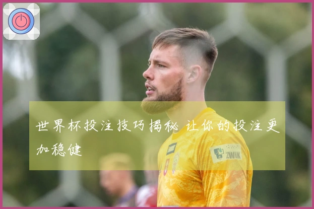 世界杯投注技巧揭秘 让你的投注更加稳健
