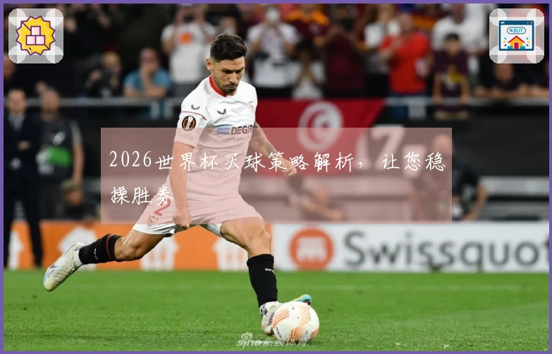 2026世界杯买球策略解析，让您稳操胜券