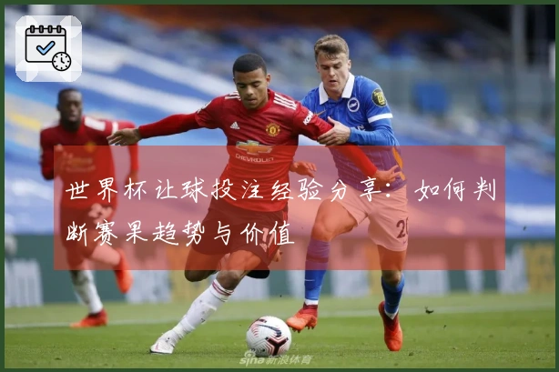 世界杯让球投注经验分享：如何判断赛果趋势与价值