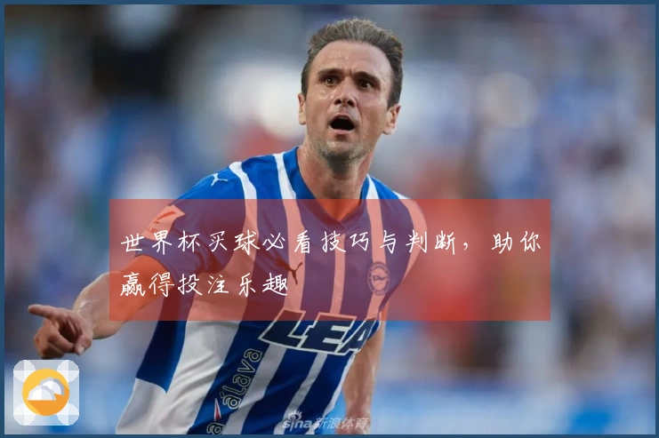 世界杯买球必看技巧与判断，助你赢得投注乐趣