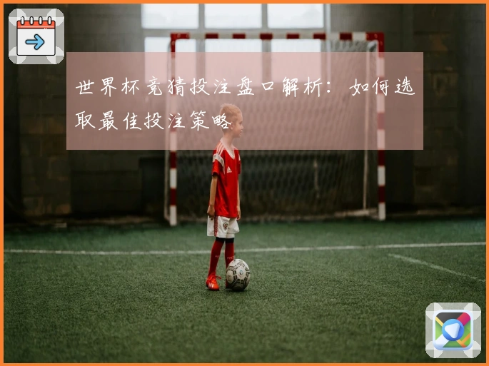 世界杯竞猜投注盘口解析：如何选取最佳投注策略