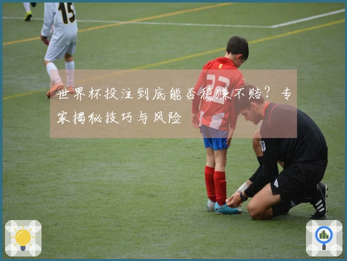 世界杯投注到底能否稳赚不赔？专家揭秘技巧与风险