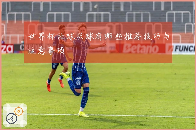 世界杯让球买球有哪些推荐技巧与注意事项