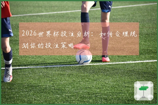 2026世界杯投注分析：如何合理规划你的投注策略