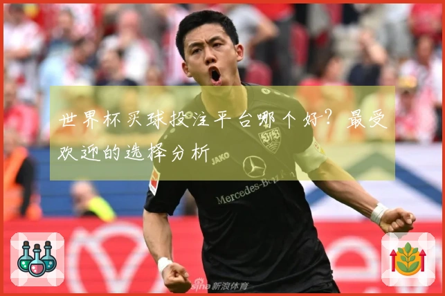 世界杯买球投注平台哪个好？最受欢迎的选择分析
