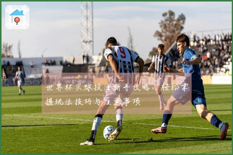世界杯买球投注新手攻略，轻松掌握玩法技巧与注意事项