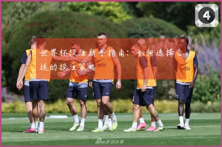 世界杯投注新手指南：如何选择合适的投注策略