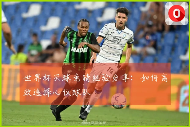 世界杯买球竞猜经验分享：如何高效选择心仪球队