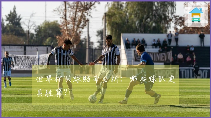 世界杯买球赔率分析：哪些球队更具胜算？