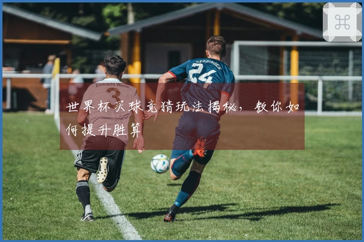 世界杯买球竞猜玩法揭秘，教你如何提升胜算