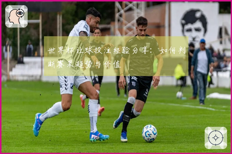 世界杯让球投注经验分享：如何判断赛果趋势与价值