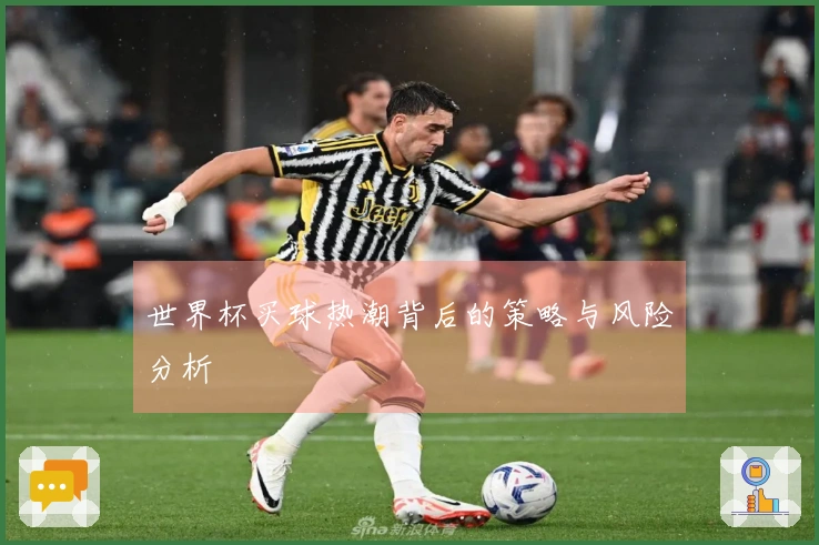 世界杯买球热潮背后的策略与风险分析