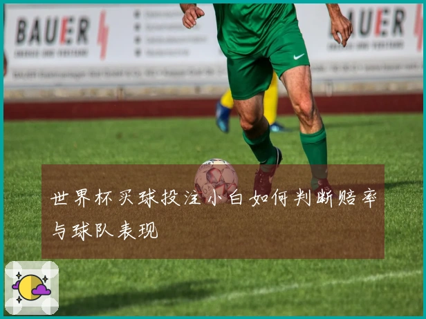 世界杯买球投注小白如何判断赔率与球队表现
