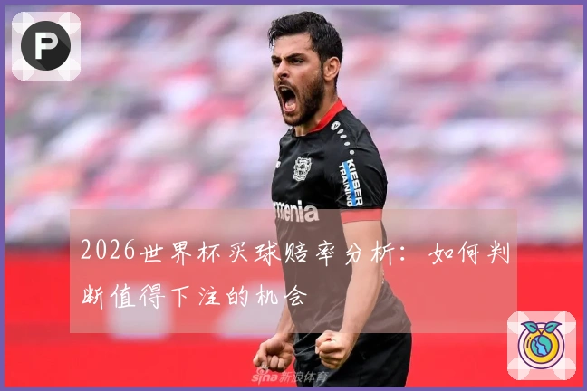 2026世界杯买球赔率分析：如何判断值得下注的机会