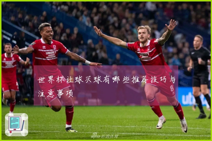 世界杯让球买球有哪些推荐技巧与注意事项