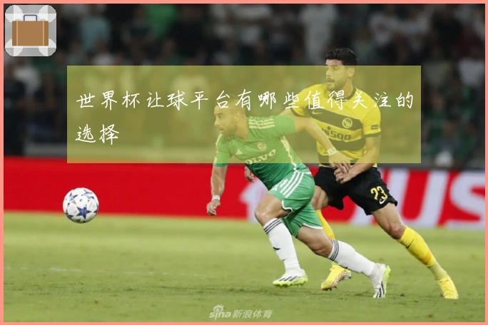 世界杯让球平台有哪些值得关注的选择