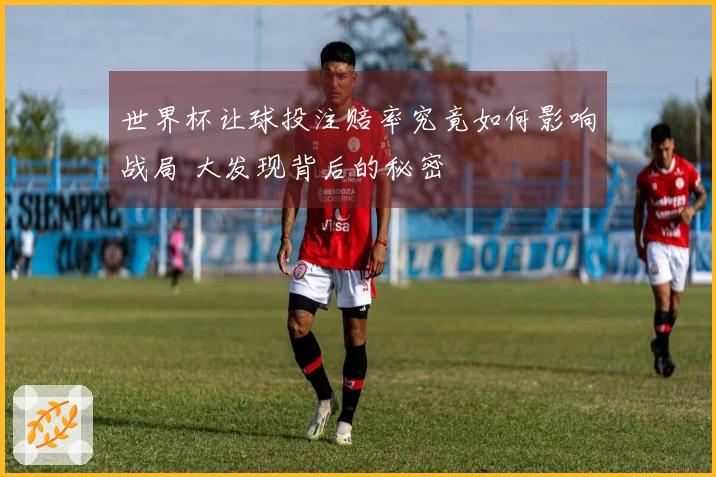 世界杯让球投注赔率究竟如何影响战局 大发现背后的秘密